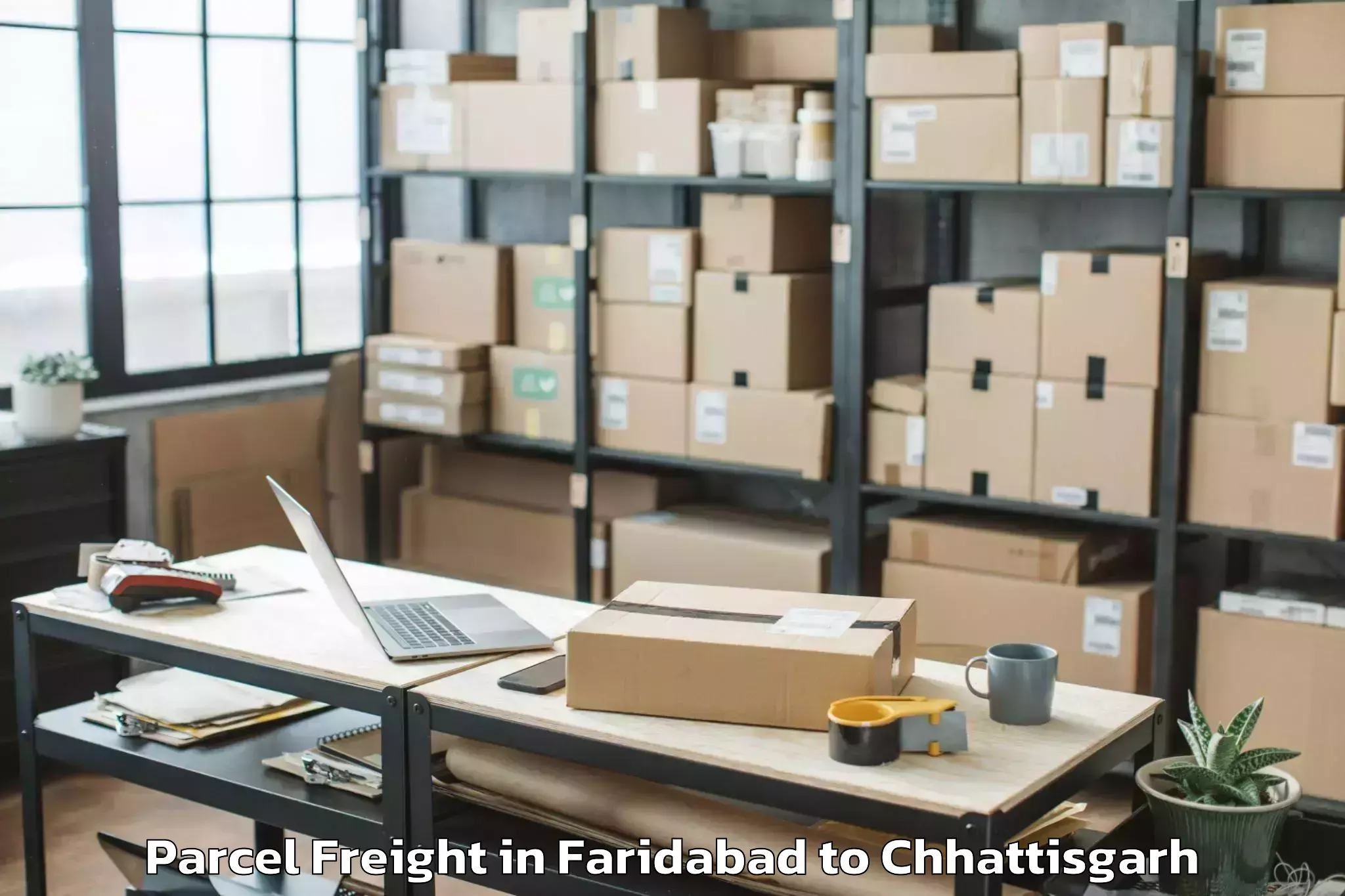 Comprehensive Faridabad to Abhilashi University Raipur Parcel Freight